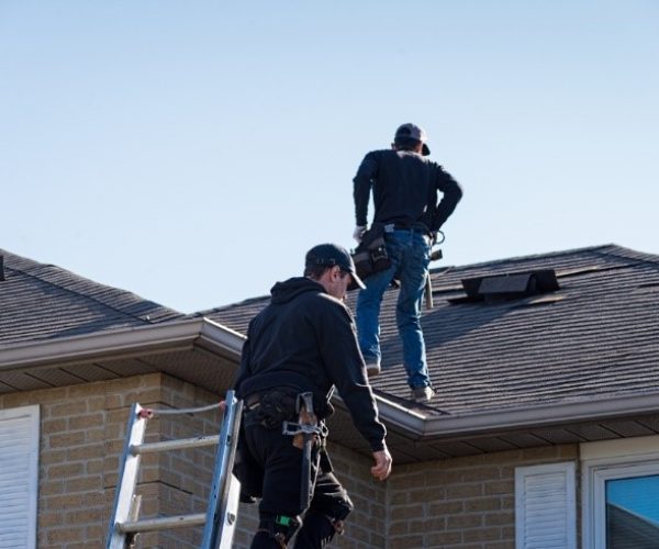 roofing-professionals